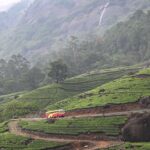 Munnar, India