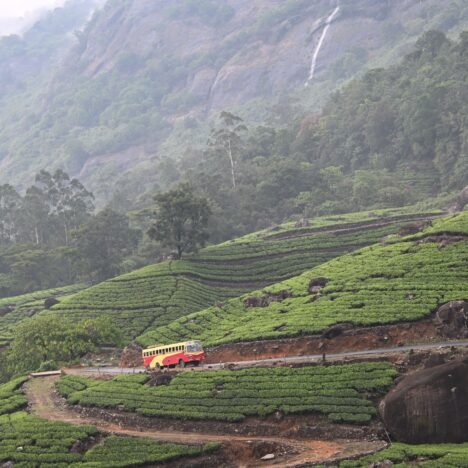 Why is Darjeeling Famous?/What is Special about Darjeeling?