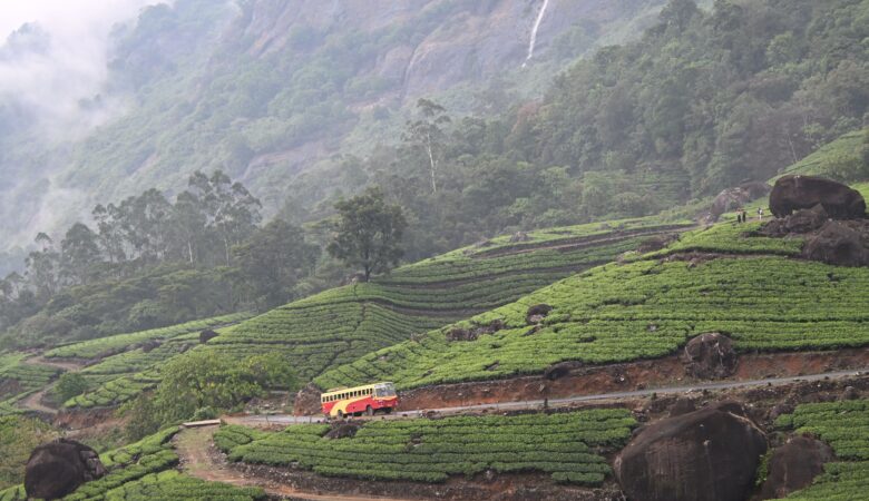 Munnar, India