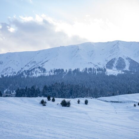 Sonmarg Kashmir: 7 Reasons This Scenic Spot Should Be on Your Travel List