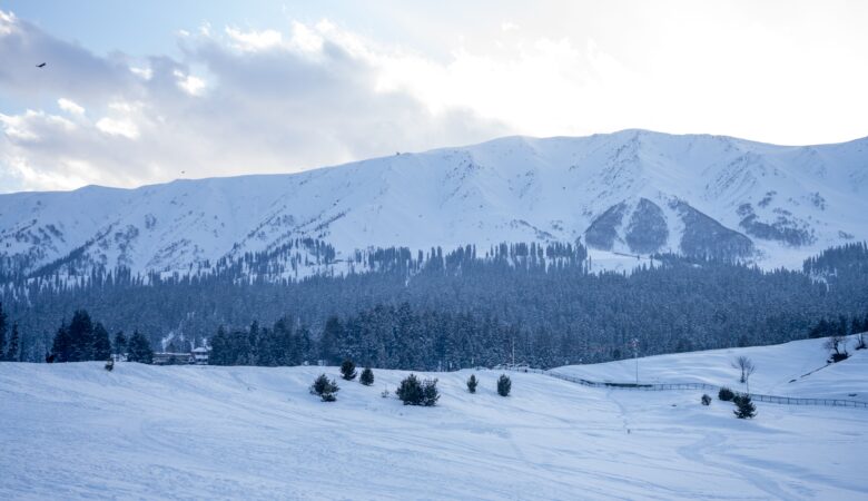 Gulmarg,Kashmir, India
