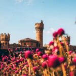 Bangalore Palace with vibrant pink flowers