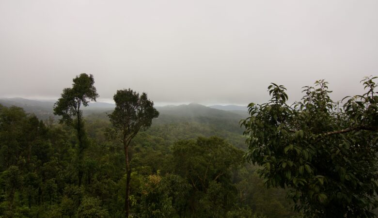Coorg, Karnatka, with lush green hills